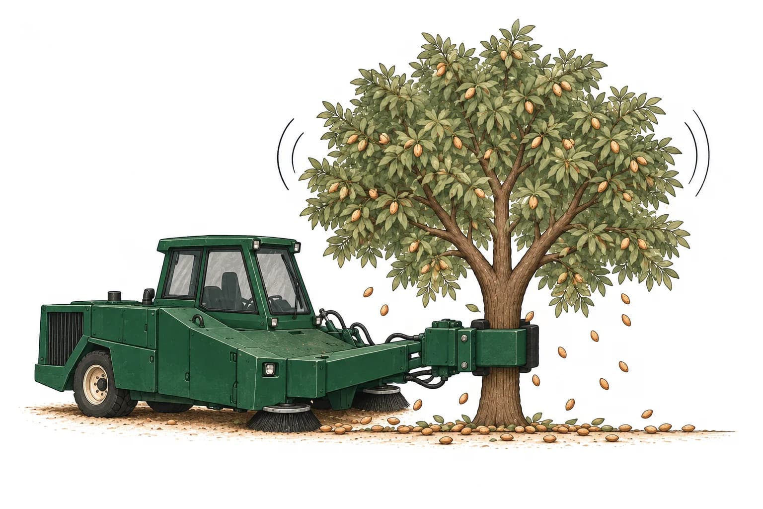Illustration of a tree shaker harvesting almonds